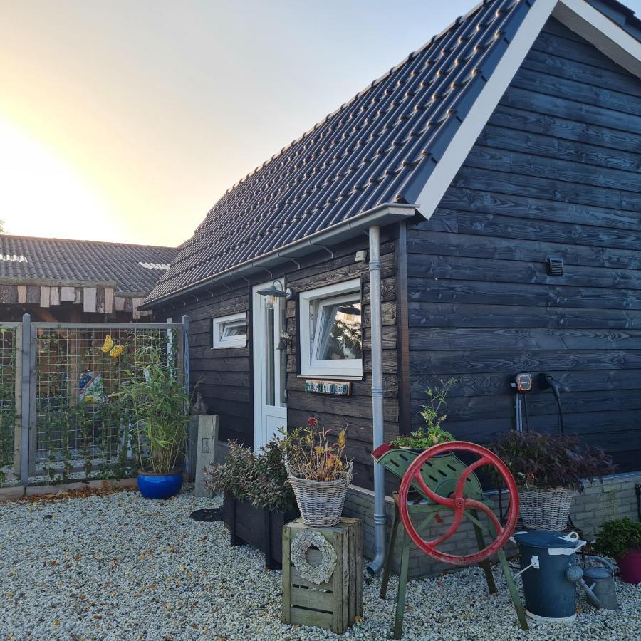 Wellness Chalet Met Jacuzzi, Sauna, Omheinde Tuin, Sint Annaland Dış mekan fotoğraf